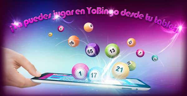 yobingo_app