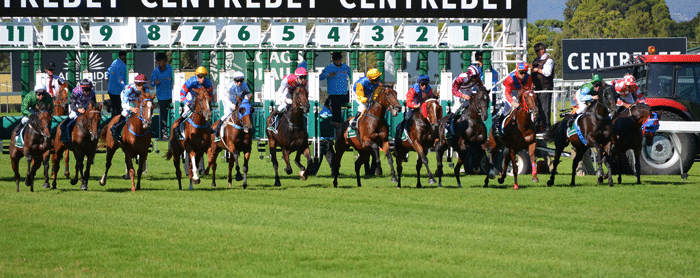apuestas_caballos_carreras_2