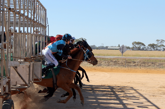 apuestas_caballos_carreras_4