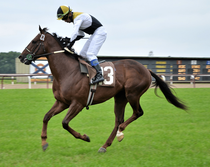 apuestas_caballos_carreras_5