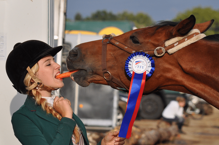 apuestas_caballos_carreras_6