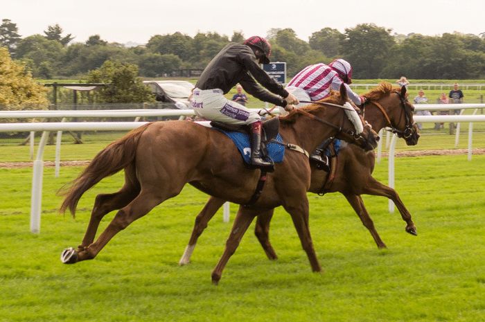 apuestas_caballos_carreras_7