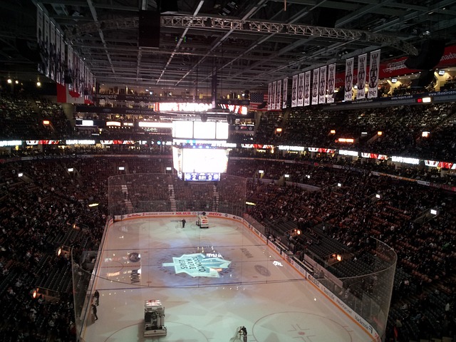 NHL Pabellón
