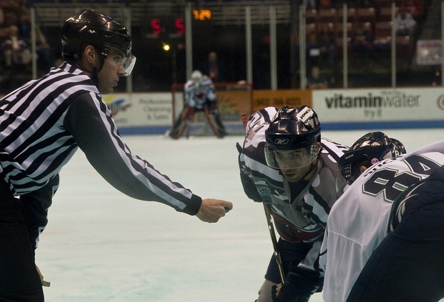 Partido NHL