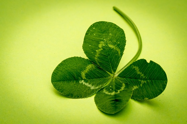 Sistema Lucky 15