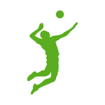 apuestas volleyball