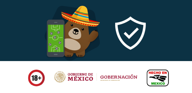 Licencias y seguridad en México