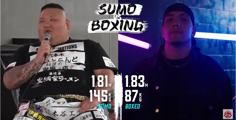 Imagen pelea Sumo vs Boxeo - Apuestas DWT4