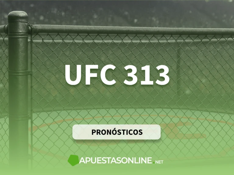 Previas de apuestas UFC 313