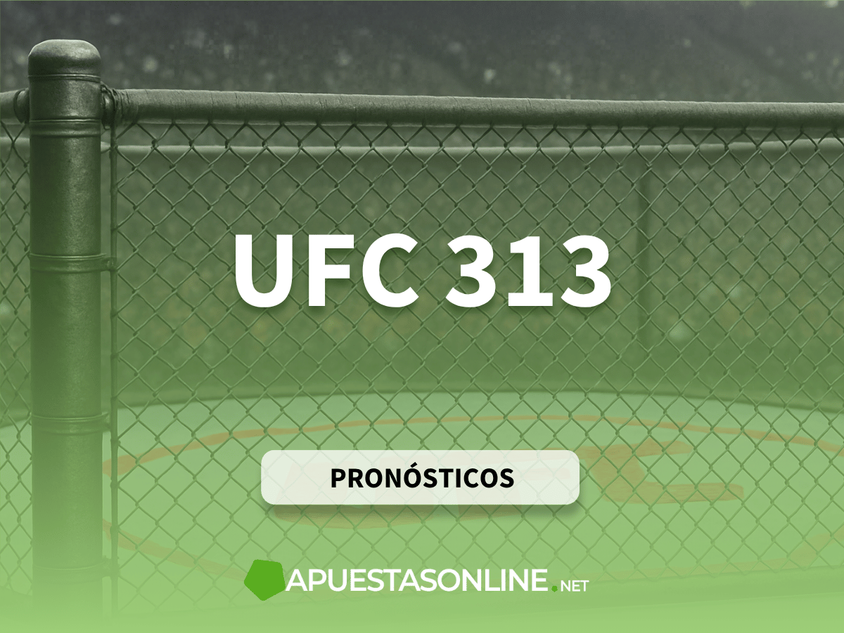Previas de apuestas UFC 313