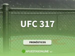 Previas de apuestas UFC 317