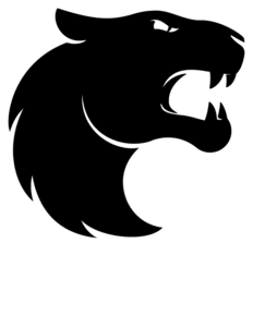 furia logo counter strike