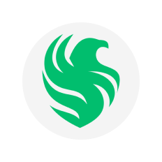 team falcons logo step