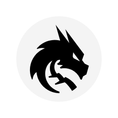 team spirit logo step