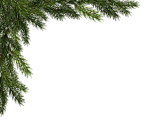 Footer corner top left