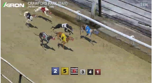 Apuestas carreras galgos virtuales Sportium