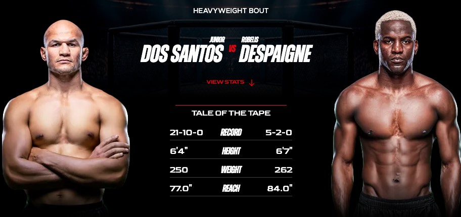 Imagen estadísticas y record - apuestas Dos Santos vs Despagne MVP MMA