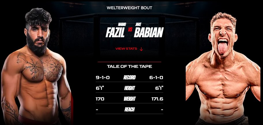 Imagen estadísticas y record - apuestas Fazil vs Babian MVP MMA