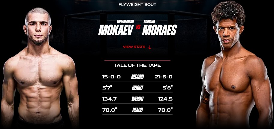 Imagen estadísticas y record - apuestas Mokaev vs Moraes MVP MMA
