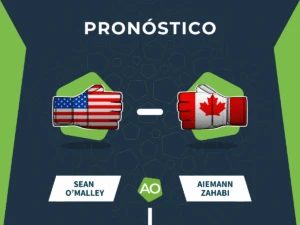 pronostico sean omalley vs aiemann zahabi 15/06/26