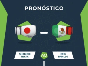 Pronóstico de la pelea entre Shokichi Iwata y Erik Badillo el 20/07/26 en Tokyo.